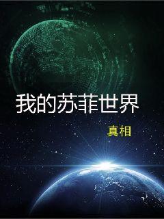 我的苏菲世界