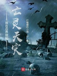 全职法师之后世传