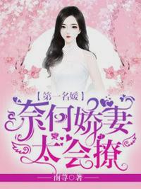 沈七夜林初雪免费阅读