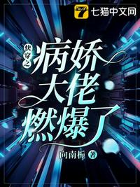 目标！山贼王