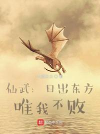 大明抄书人