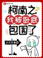 精灵：六式开局的训练家