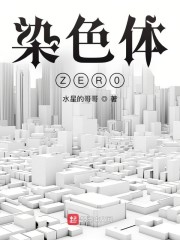 染色体ZER0