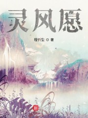 灵风愿