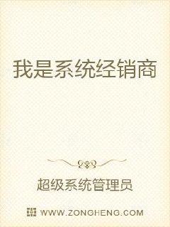 我是系统经销商