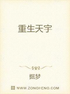 重生天宇