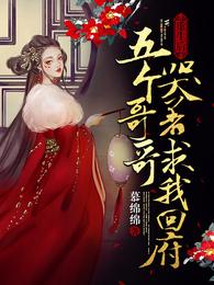 重生后，五个哥哥哭着求我回府姜幼安墨扶白