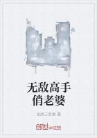 重生小说李桐