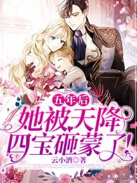 云小晚盛墨辞