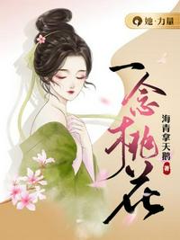 夜落长安