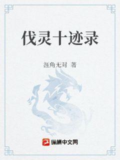 问鼎武道