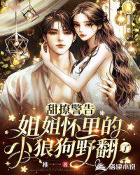 完美世界之无上主宰上官峰