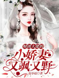 我的冰山女神老婆