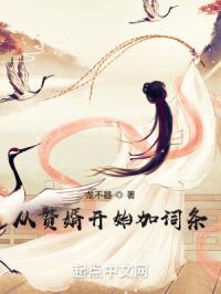 《从赘婿开始加词条》