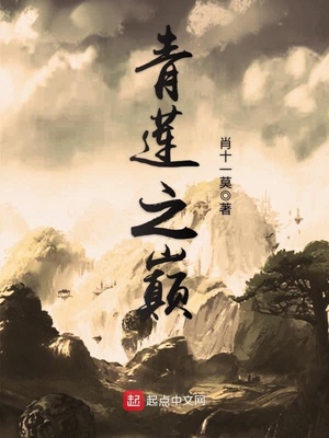 大明不可能这么富